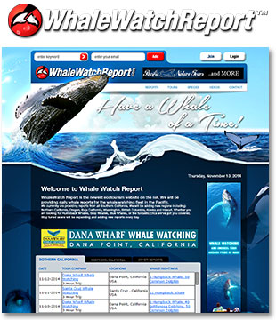 WhaleWatchReport.com
